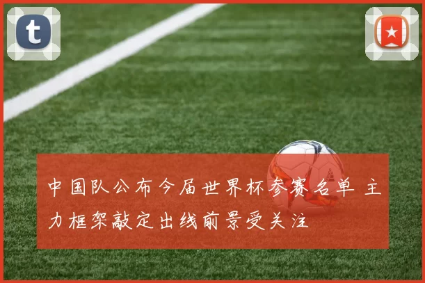 中国队公布今届世界杯参赛名单 主力框架敲定出线前景受关注