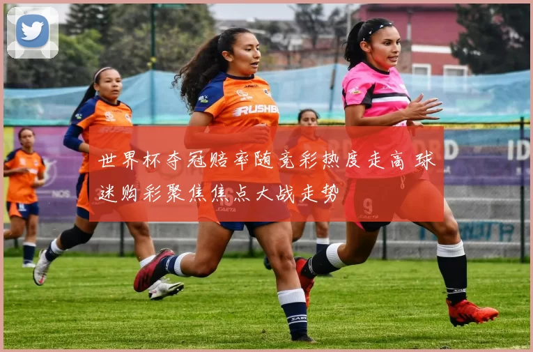 世界杯夺冠赔率随竞彩热度走高 球迷购彩聚焦焦点大战走势
