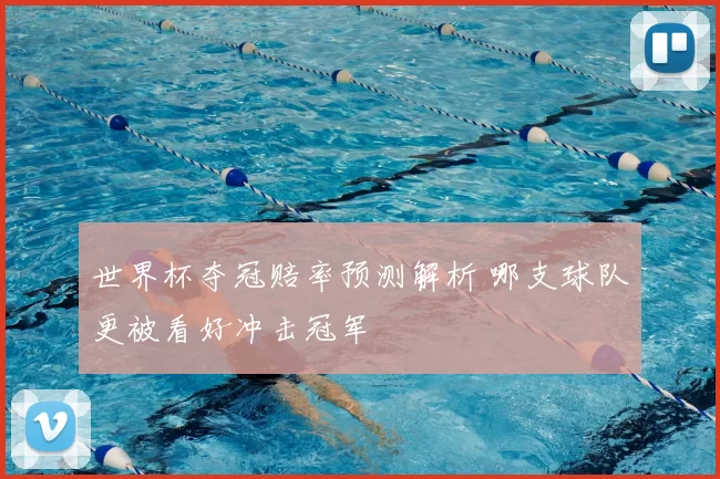 世界杯夺冠赔率预测解析 哪支球队更被看好冲击冠军