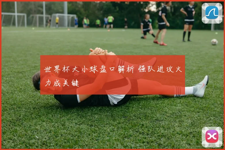 世界杯大小球盘口解析 强队进攻火力成关键