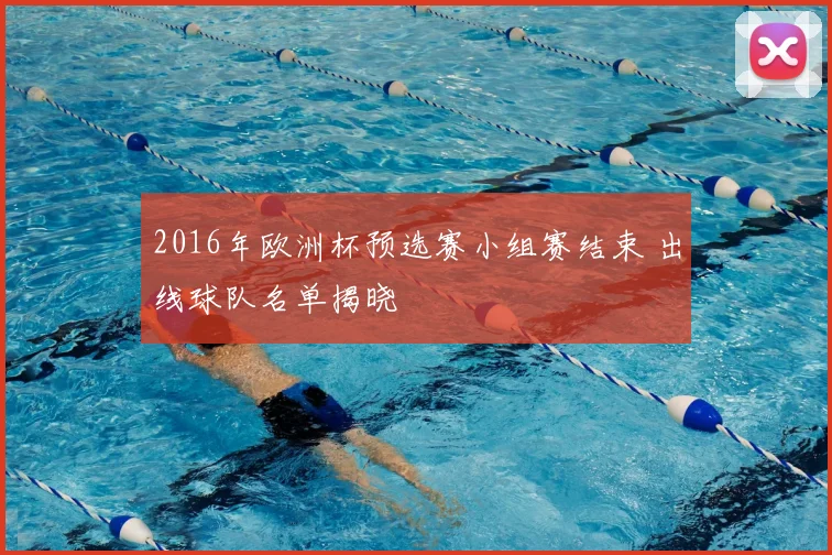2016年欧洲杯预选赛小组赛结束 出线球队名单揭晓